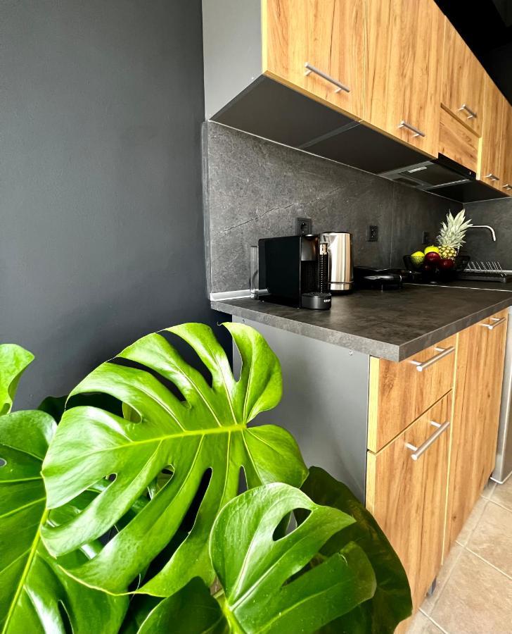 Downtown Apartments Rhodes City المظهر الخارجي الصورة